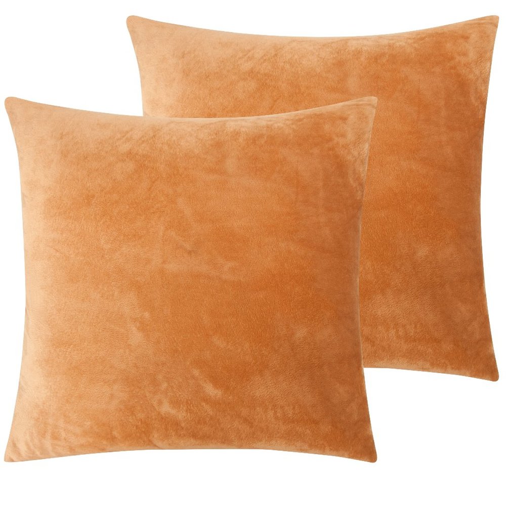 NTBAY Pack Super Soft and Luxury Pillow Cases